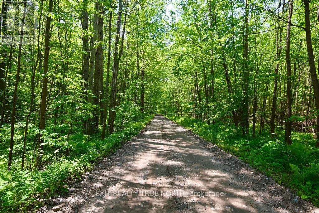 199 3 Concession Road W, Tiny, Ontario  L0L 2T0 - Photo 14 - S13488764