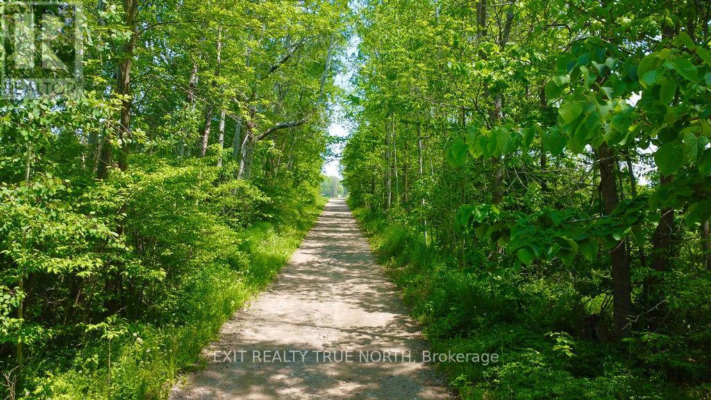 199 3 Concession Road W, Tiny, Ontario  L0L 2T0 - Photo 15 - S13488764