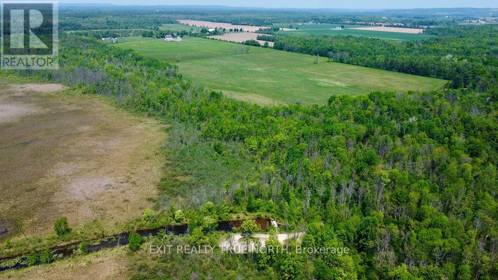 199 3 Concession Road W, Tiny, Ontario  L0L 2T0 - Photo 38 - S13488764