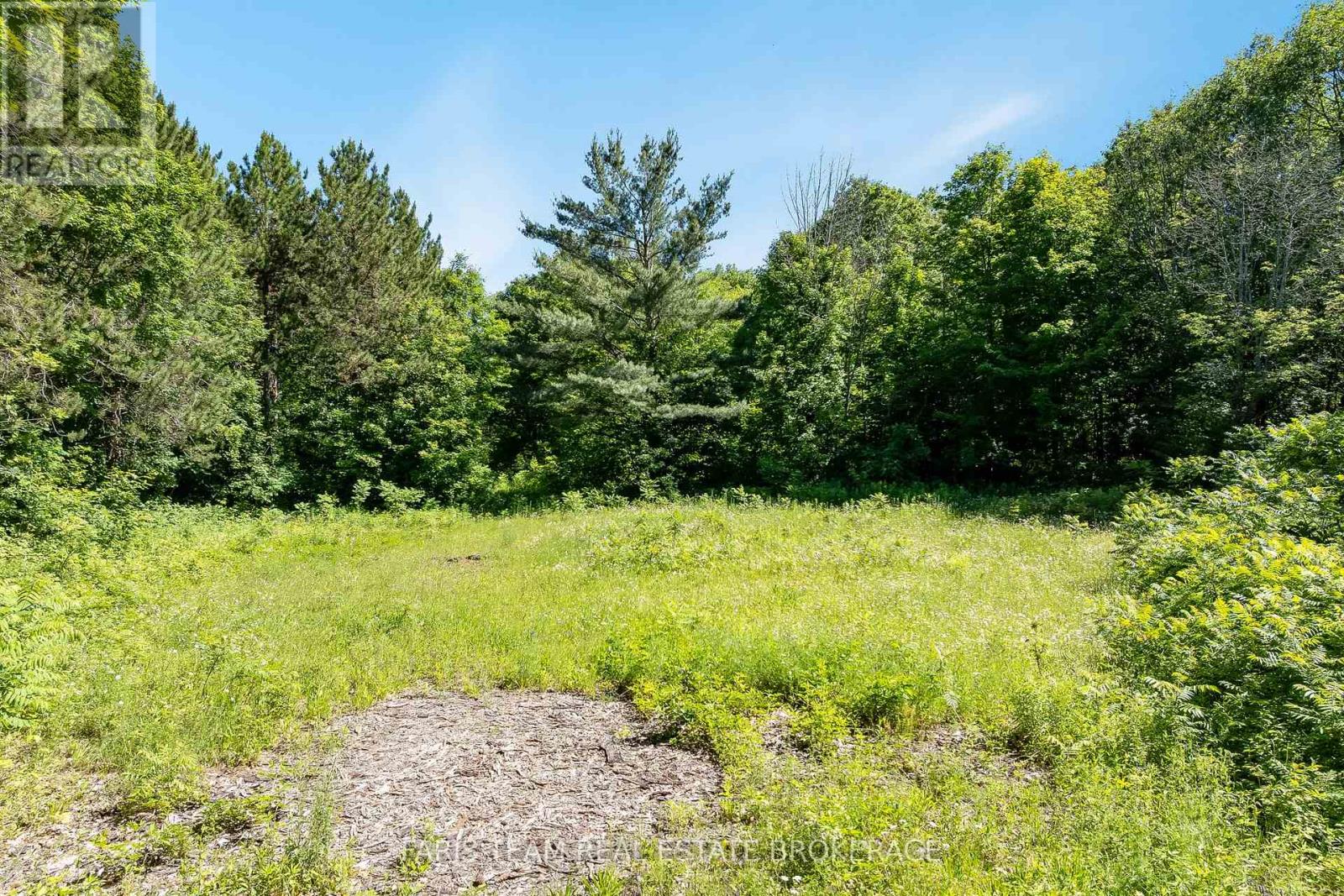 364 Champlain Road, Penetanguishene, Ontario  L9M 1S4 - Photo 5 - S13489390