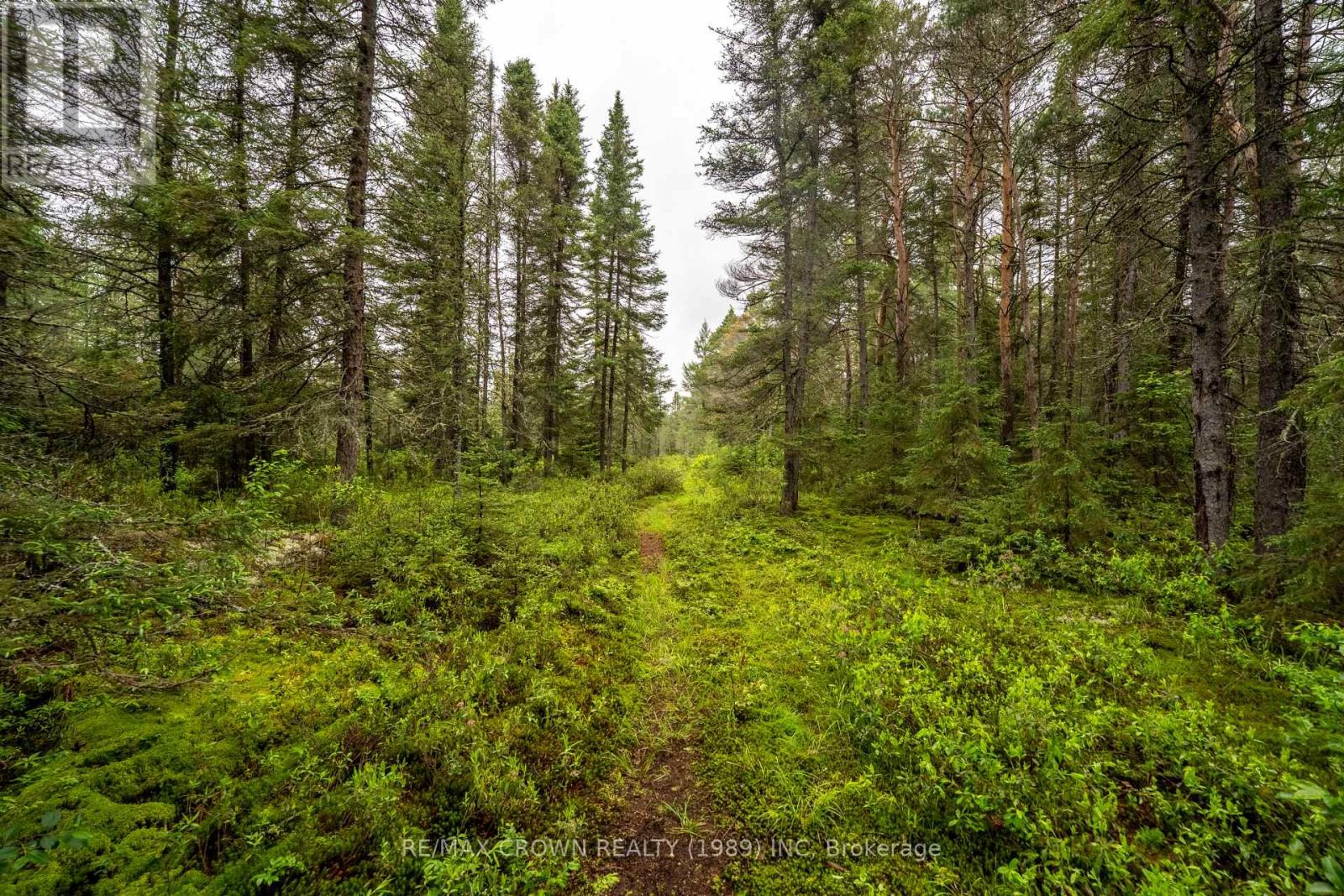 734 Highway 522, Powassan, Ontario  P0H 2L0 - Photo 46 - X13489728
