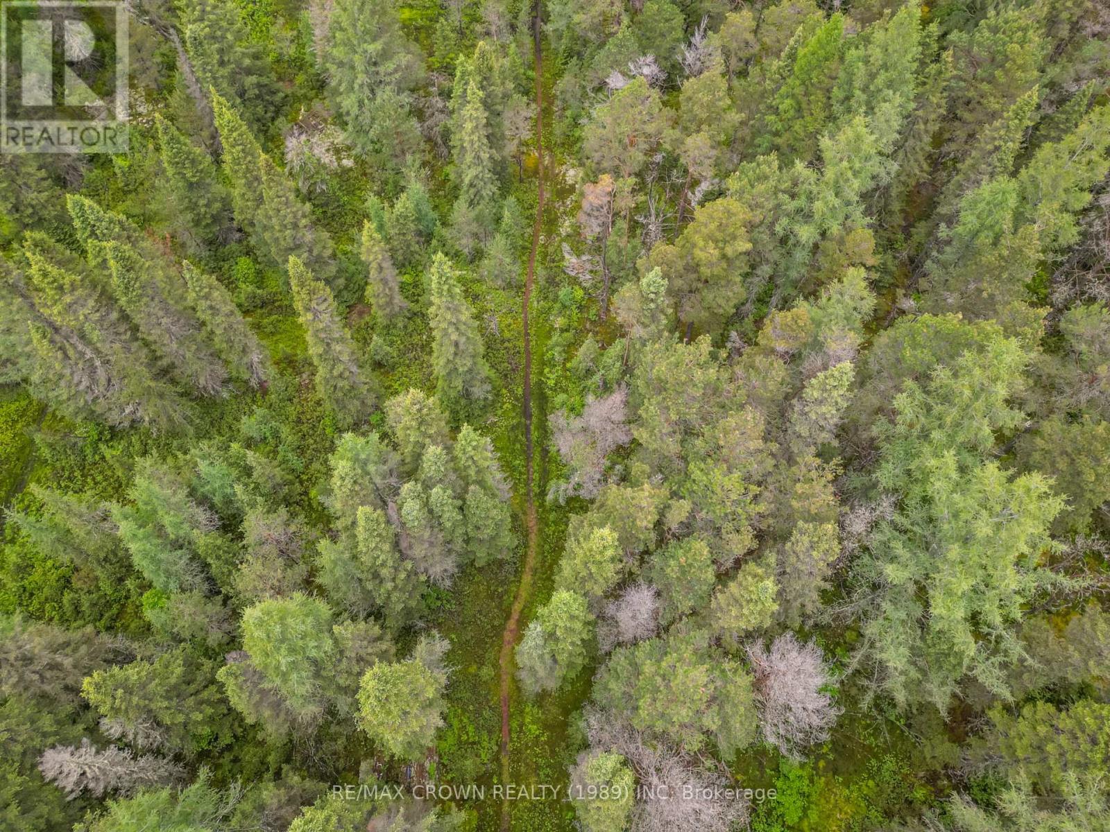 734 Highway 522, Powassan, Ontario  P0H 2L0 - Photo 47 - X13489728