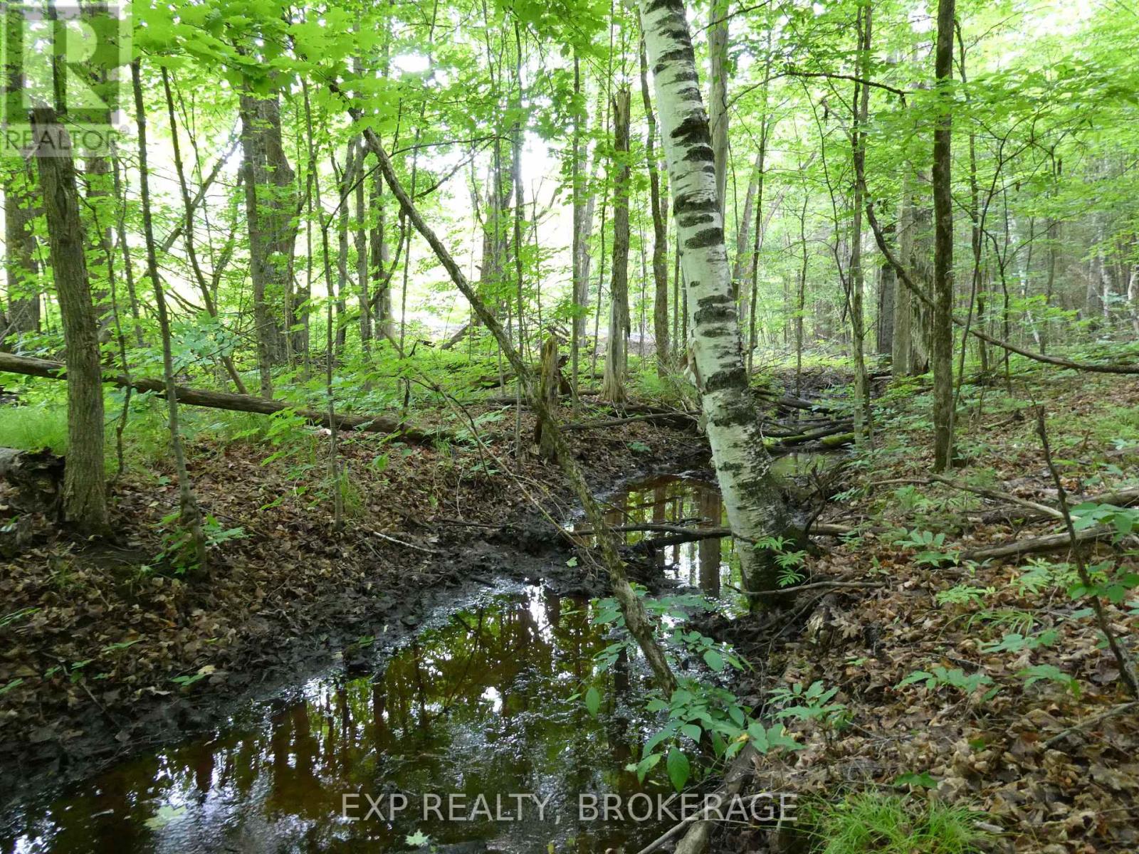 1931 Elm Tree Road, Frontenac, Ontario  K0H 1B0 - Photo 18 - X13488824