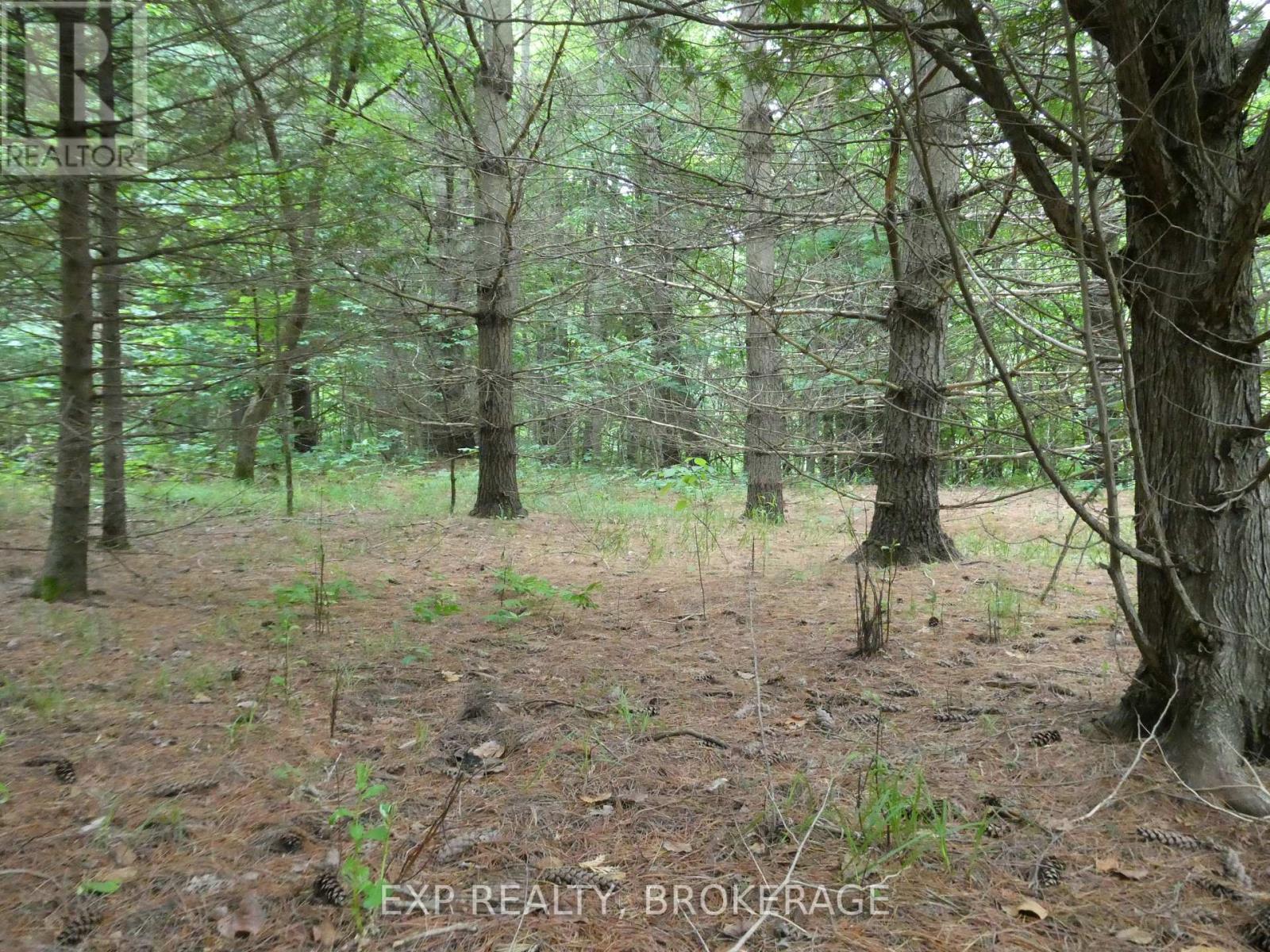 1931 Elm Tree Road, Frontenac, Ontario  K0H 1B0 - Photo 21 - X13488824