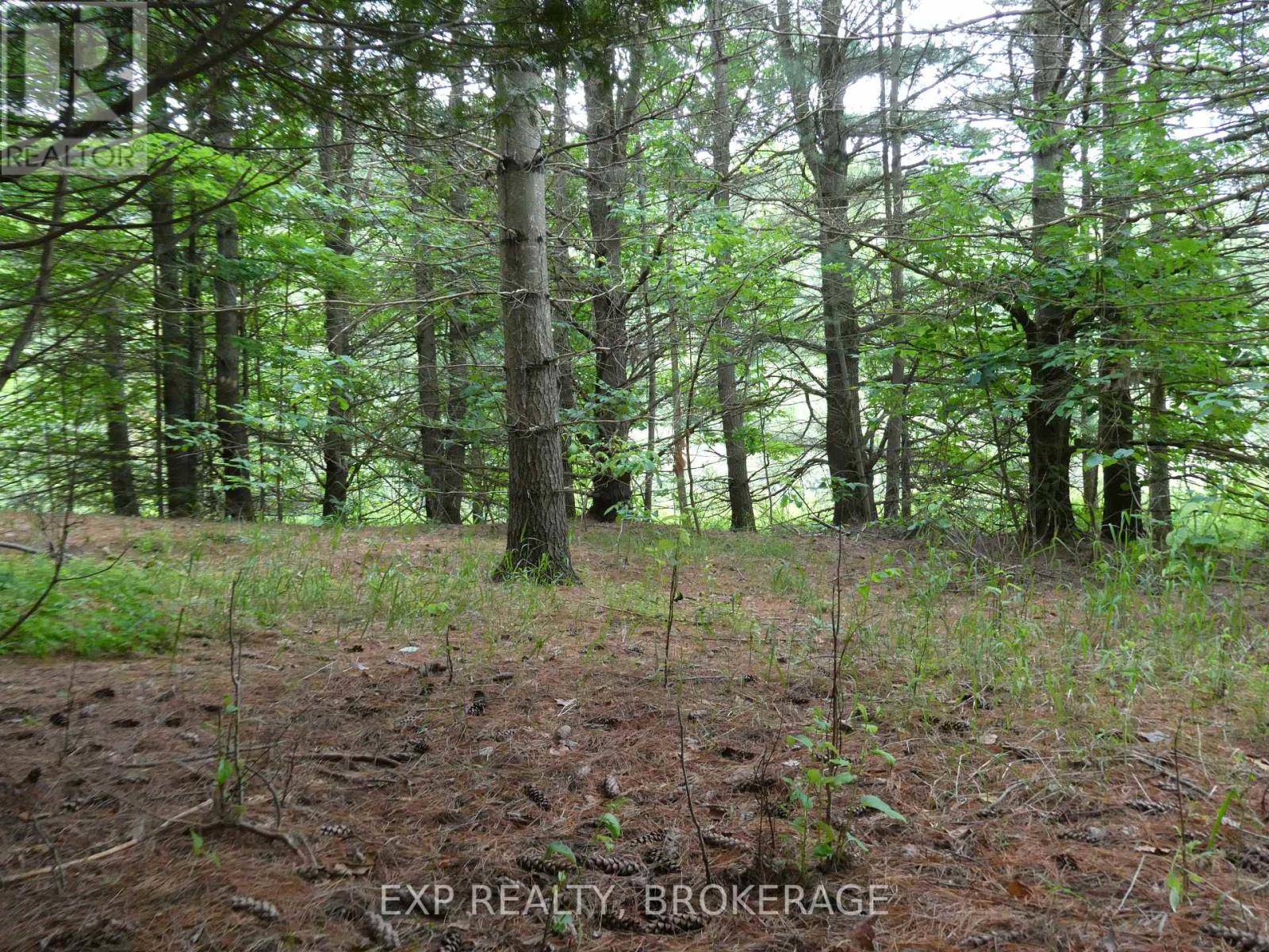 1931 Elm Tree Road, Frontenac, Ontario  K0H 1B0 - Photo 22 - X13488824