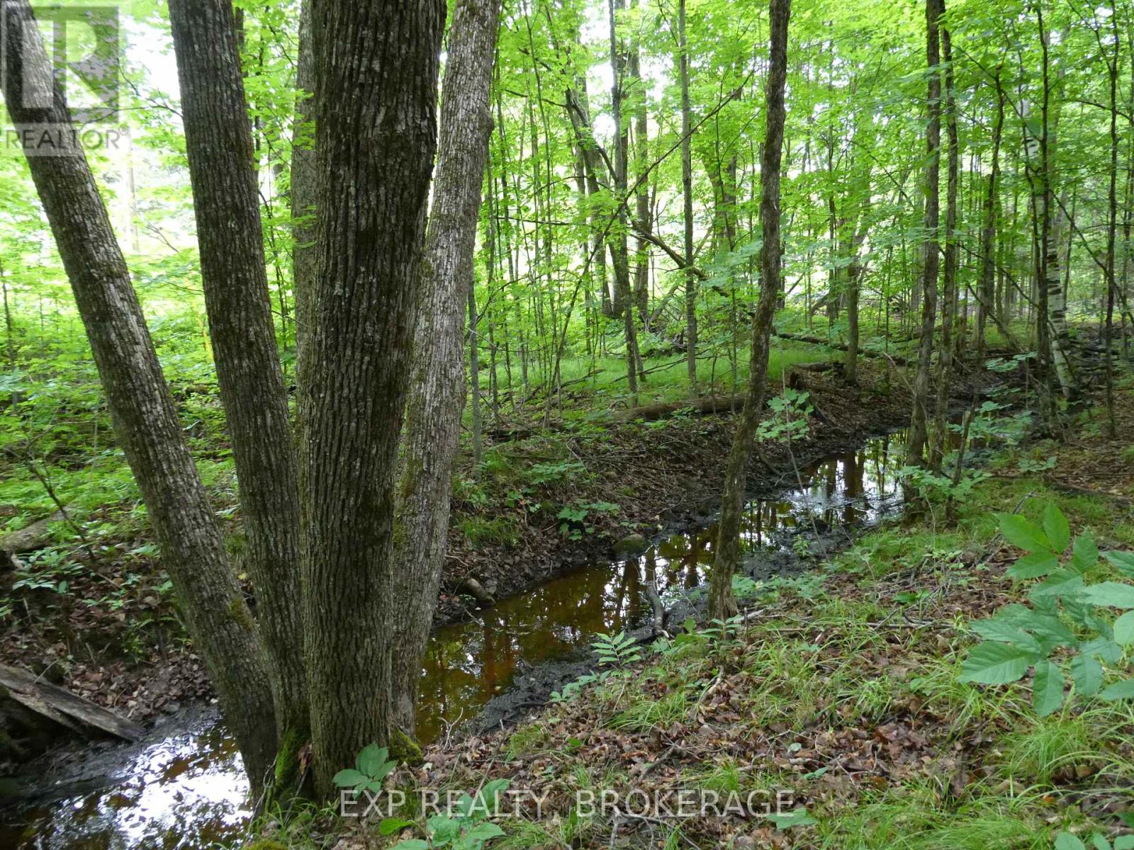 1931 Elm Tree Road, Frontenac, Ontario  K0H 1B0 - Photo 17 - X13488824