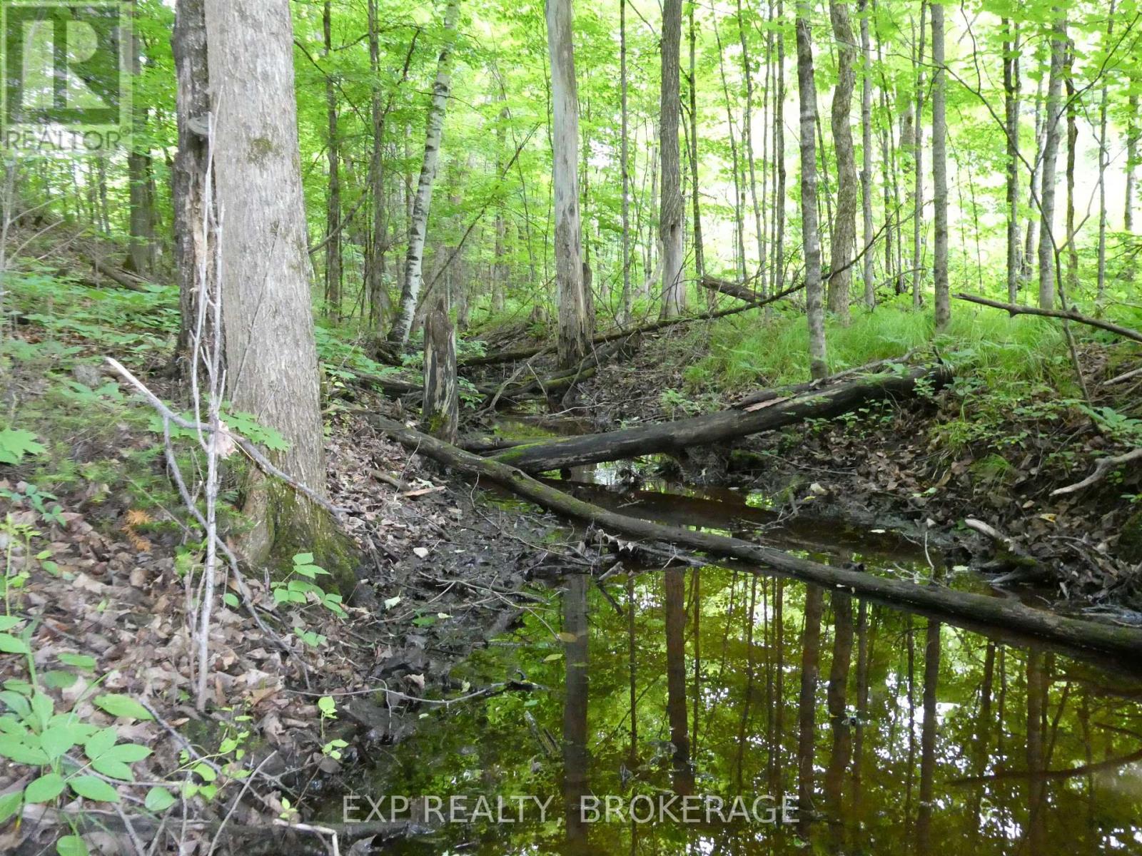 1931 Elm Tree Road, Frontenac, Ontario  K0H 1B0 - Photo 16 - X13488824