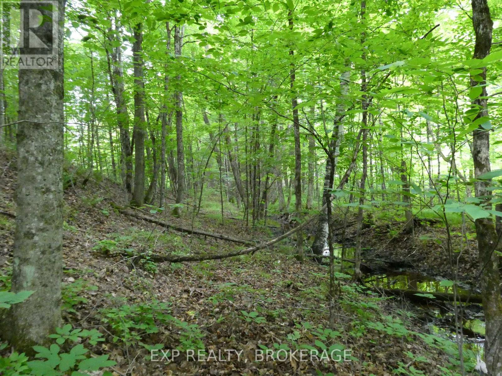 1931 Elm Tree Road, Frontenac, Ontario  K0H 1B0 - Photo 20 - X13488824
