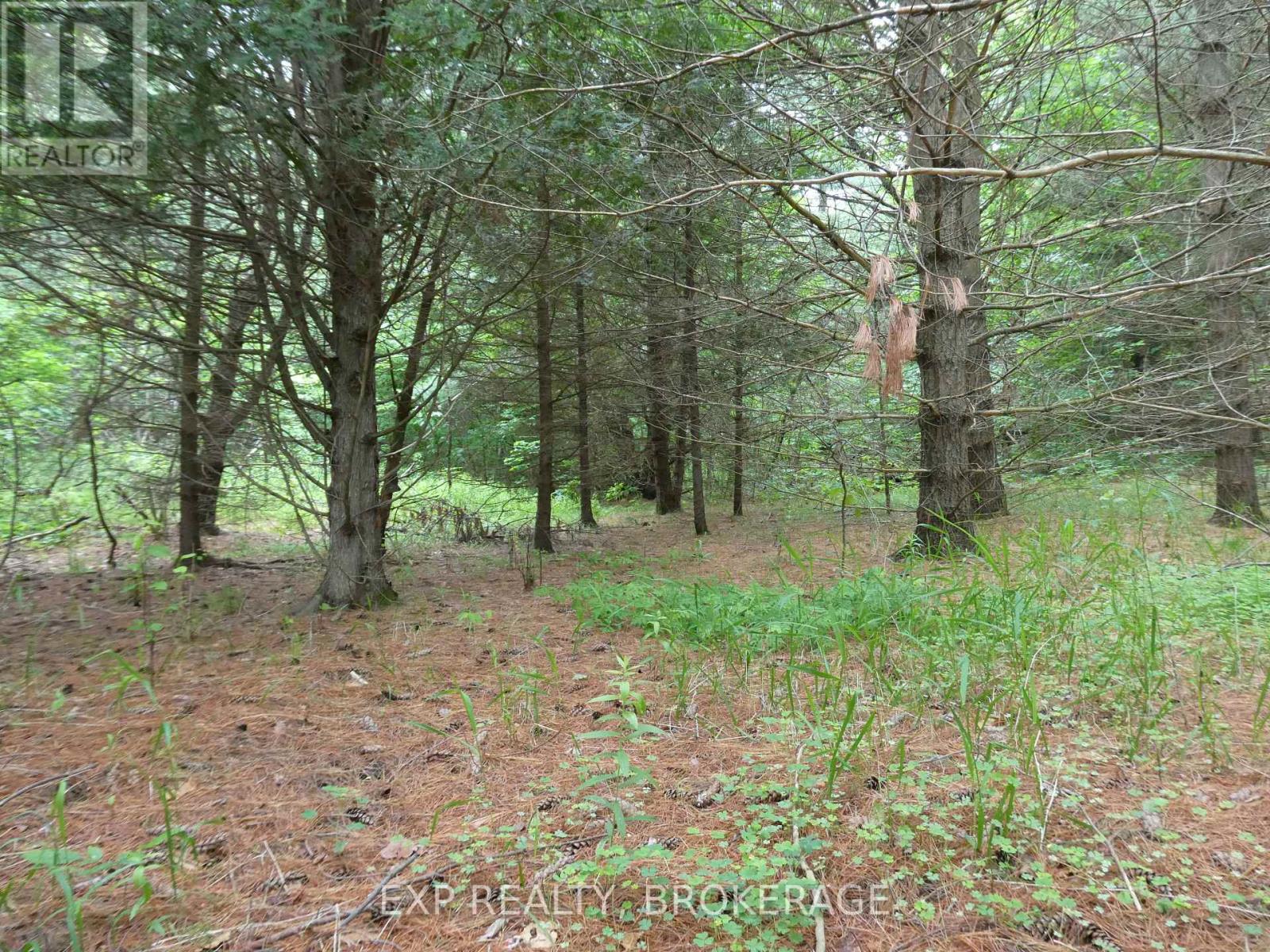 1931 Elm Tree Road, Frontenac, Ontario  K0H 1B0 - Photo 23 - X13488824