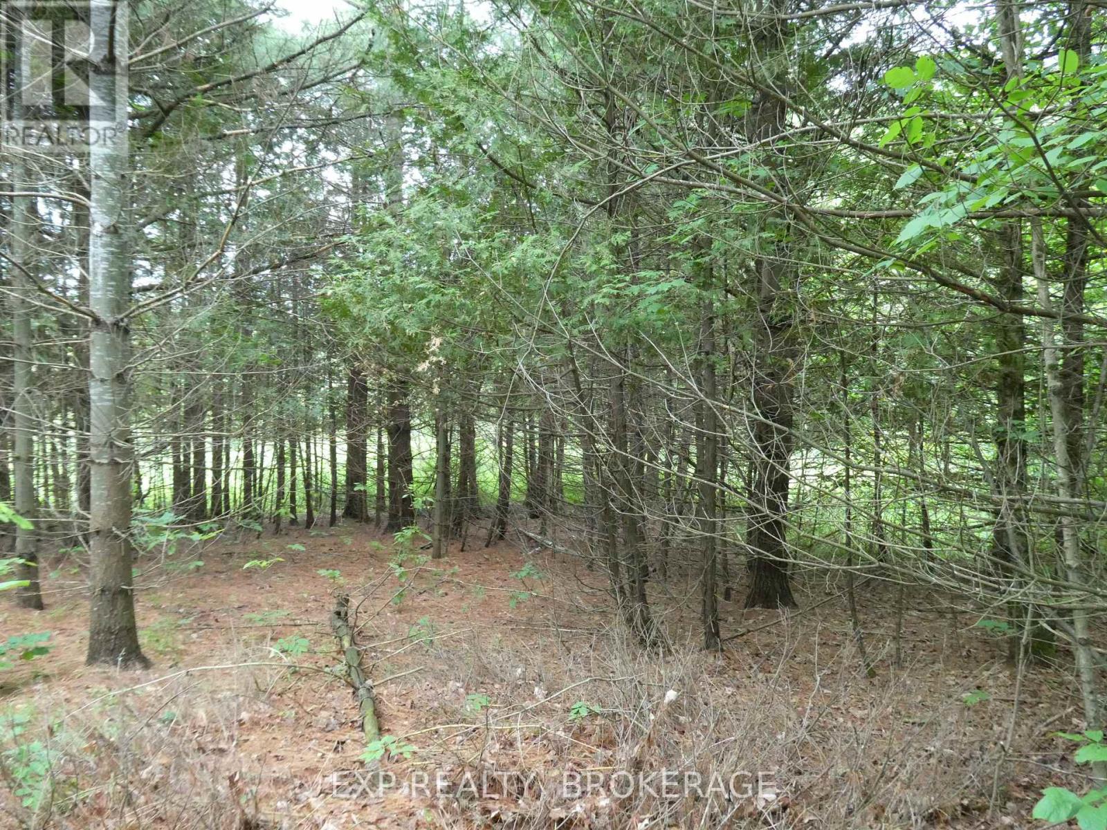 1931 Elm Tree Road, Frontenac, Ontario  K0H 1B0 - Photo 25 - X13488824