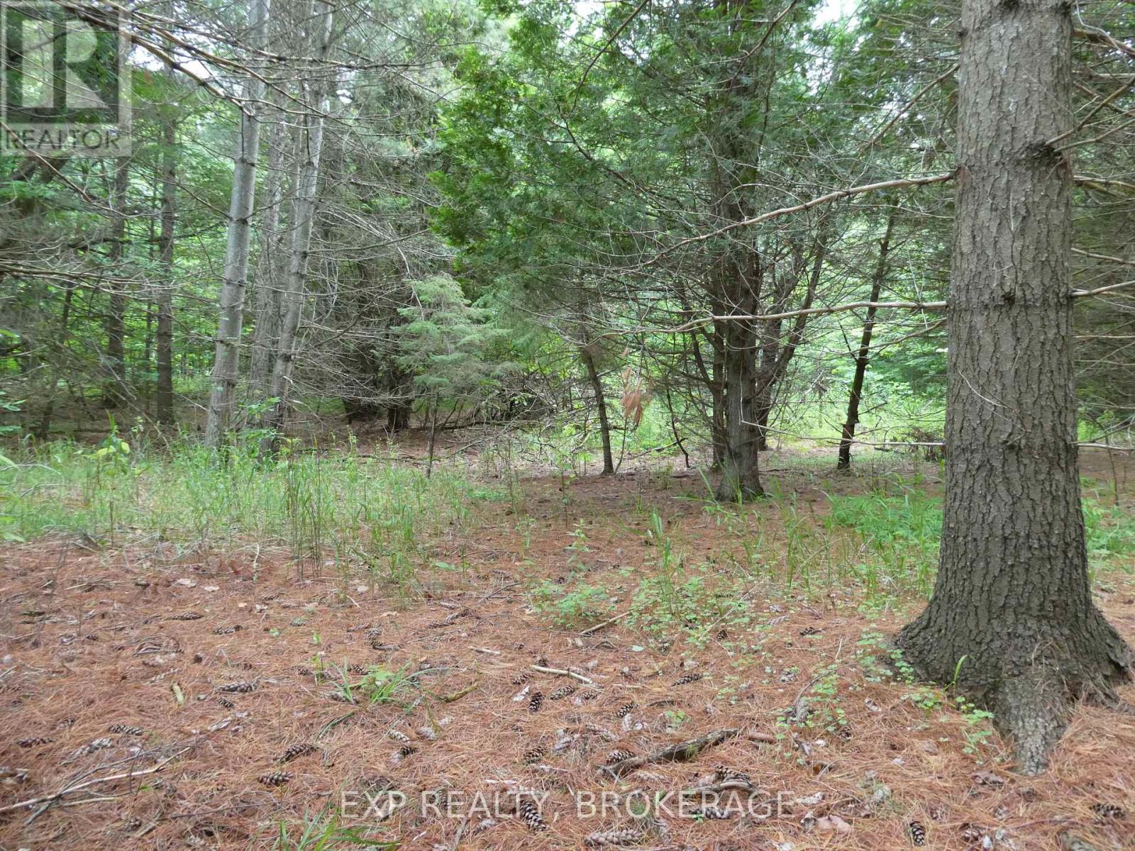 1931 Elm Tree Road, Frontenac, Ontario  K0H 1B0 - Photo 24 - X13488824
