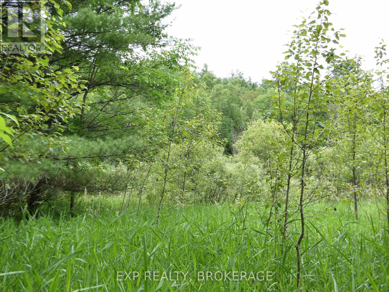 1931 Elm Tree Road, Frontenac, Ontario  K0H 1B0 - Photo 27 - X13488824