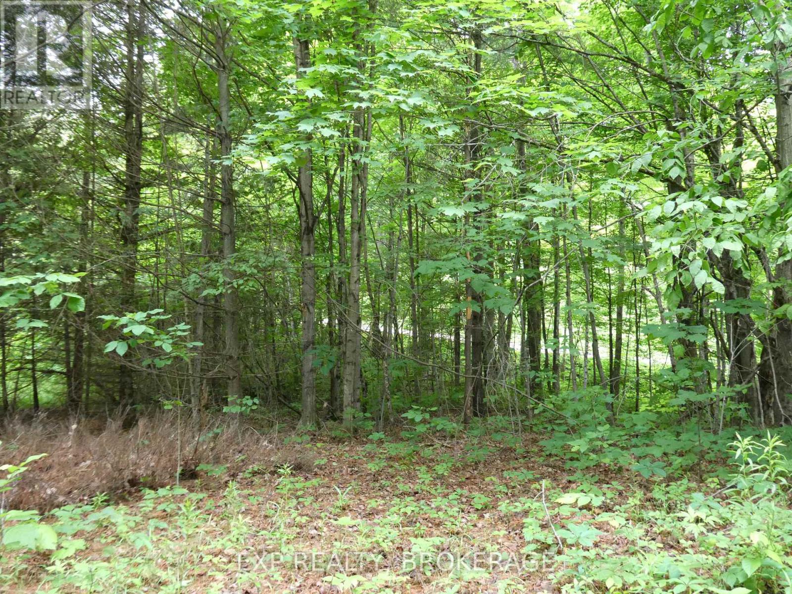 1931 Elm Tree Road, Frontenac, Ontario  K0H 1B0 - Photo 29 - X13488824