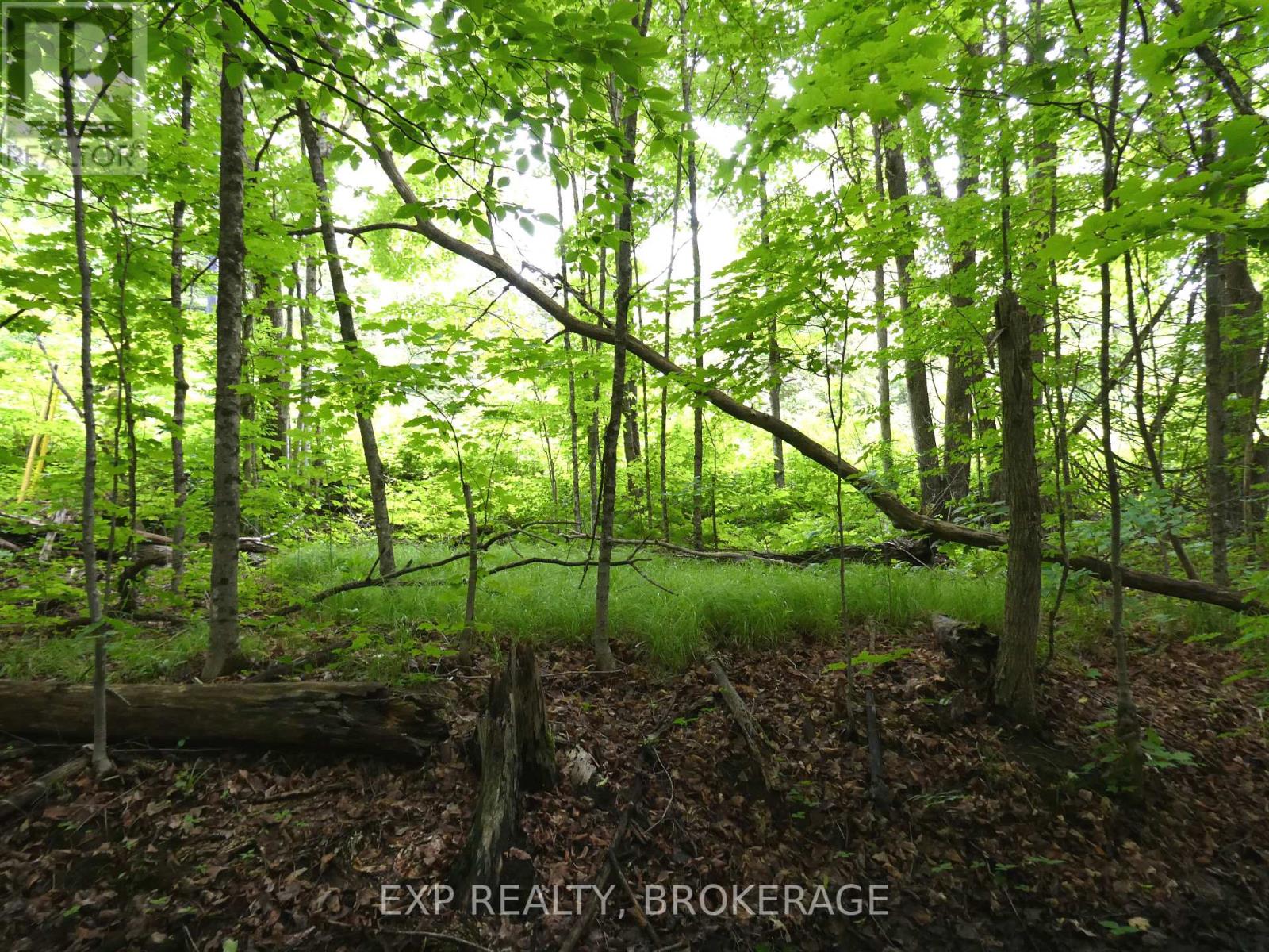 1931 Elm Tree Road, Frontenac, Ontario  K0H 1B0 - Photo 30 - X13488824