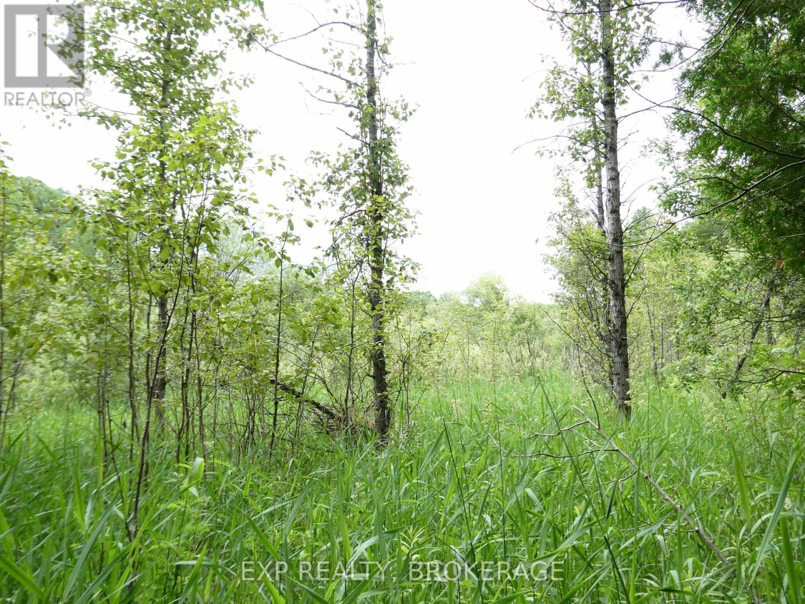 1931 Elm Tree Road, Frontenac, Ontario  K0H 1B0 - Photo 26 - X13488824