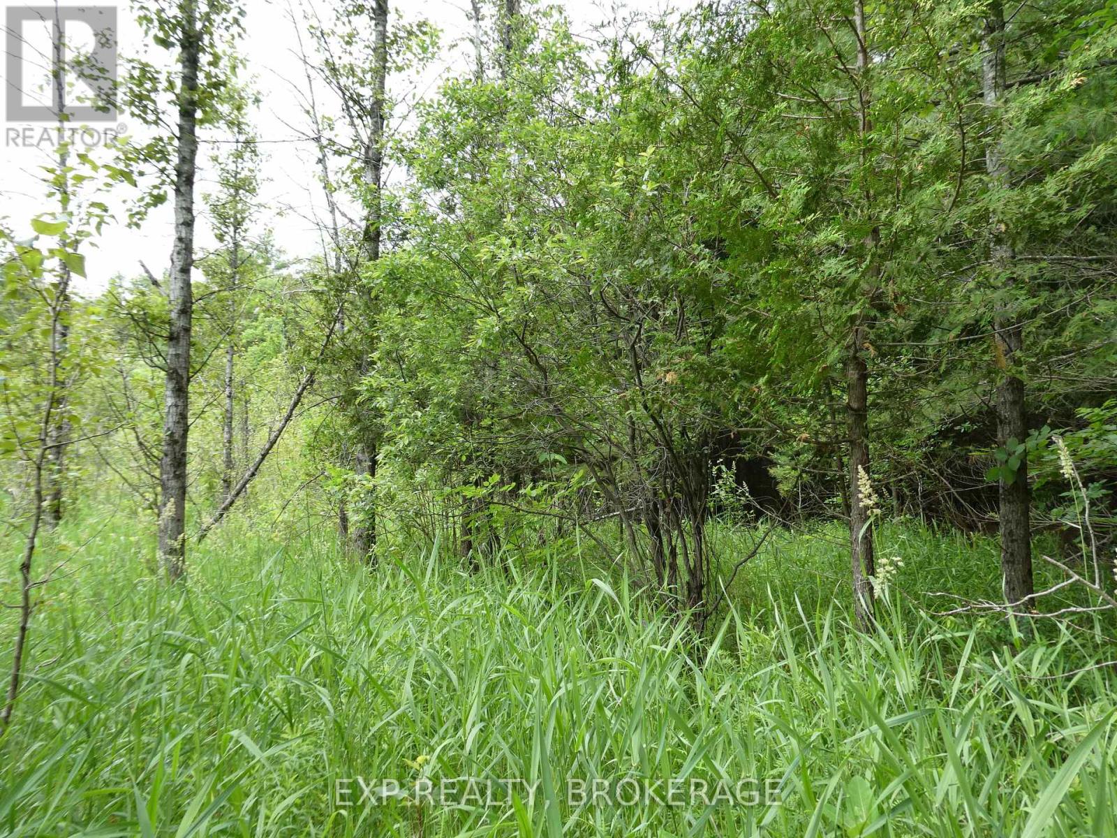 1931 Elm Tree Road, Frontenac, Ontario  K0H 1B0 - Photo 28 - X13488824