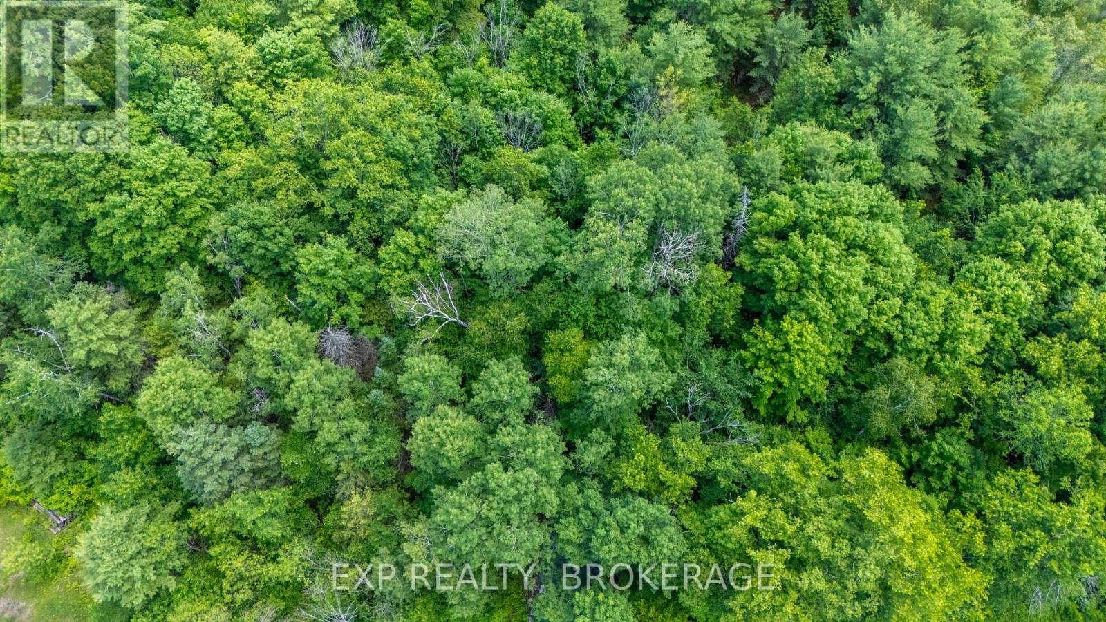 1931 Elm Tree Road, Frontenac, Ontario  K0H 1B0 - Photo 3 - X13488824