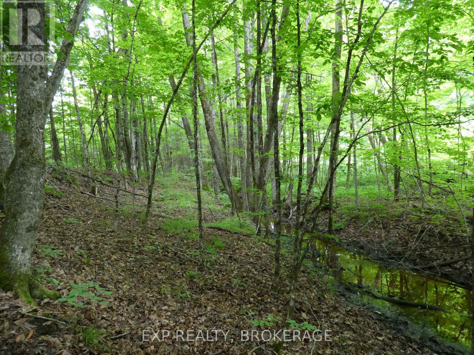 1931 Elm Tree Road, Frontenac, Ontario  K0H 1B0 - Photo 31 - X13488824