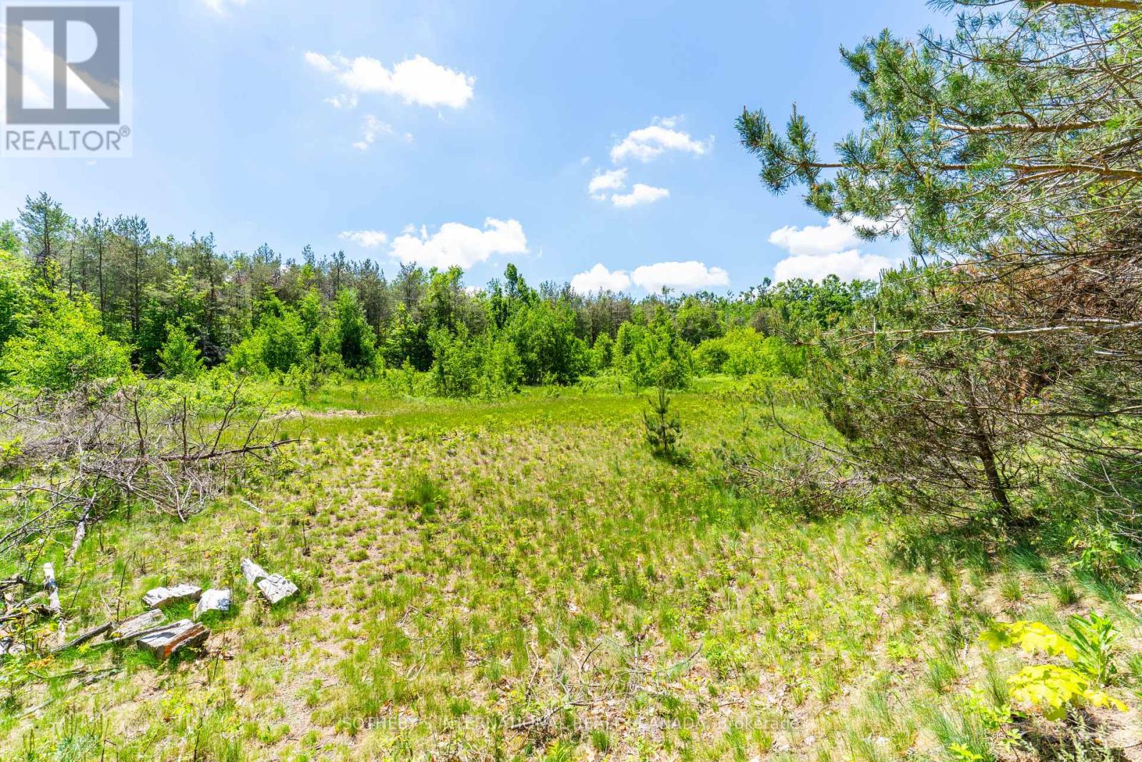 7 Ridgewood Court, Oro-Medonte (Horseshoe Valley), Ontario  L0L 2L0 - Photo 39 - S13489856