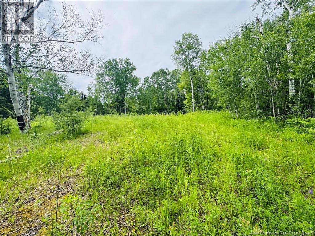307 Doyleville Road, Lorne, New Brunswick