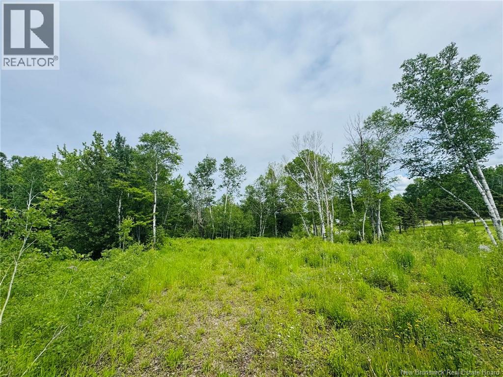 307 Doyleville Road, Lorne, New Brunswick E8G 1H3 - Photo 2 - NB139109