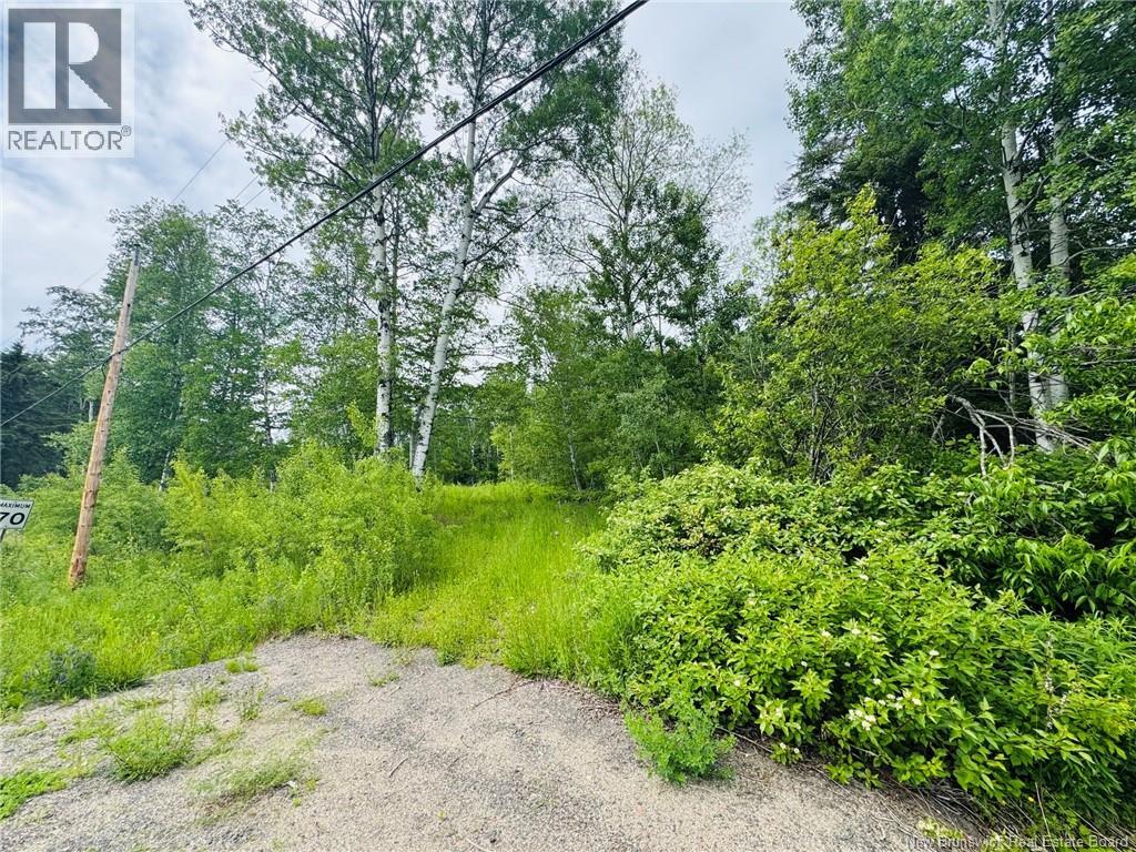 307 Doyleville Road, Lorne, New Brunswick E8G 1H3 - Photo 3 - NB139109