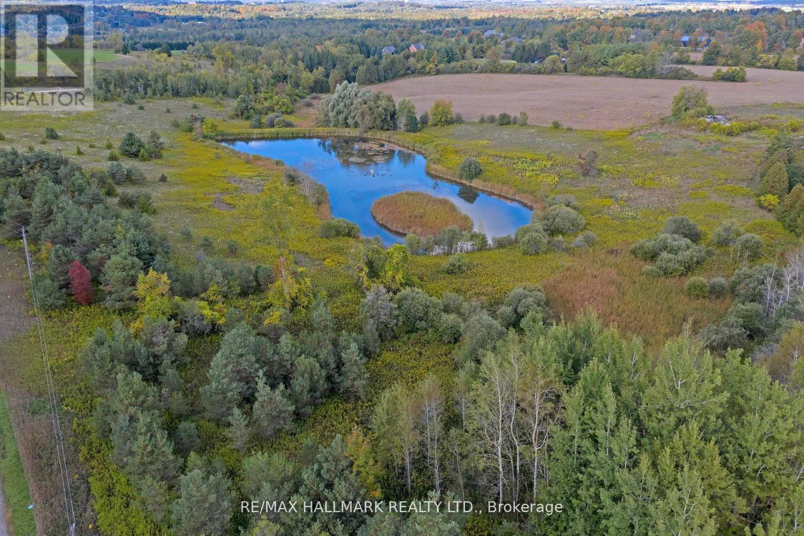5285 Trafalgar Road, Erin, Ontario  L9T 6M5 - Photo 13 - X13489936