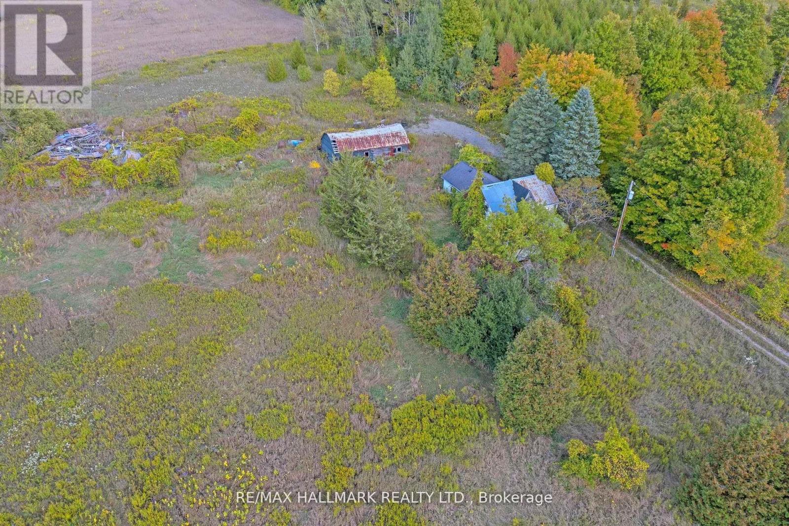 5285 Trafalgar Road, Erin, Ontario  L9T 6M5 - Photo 7 - X13489936