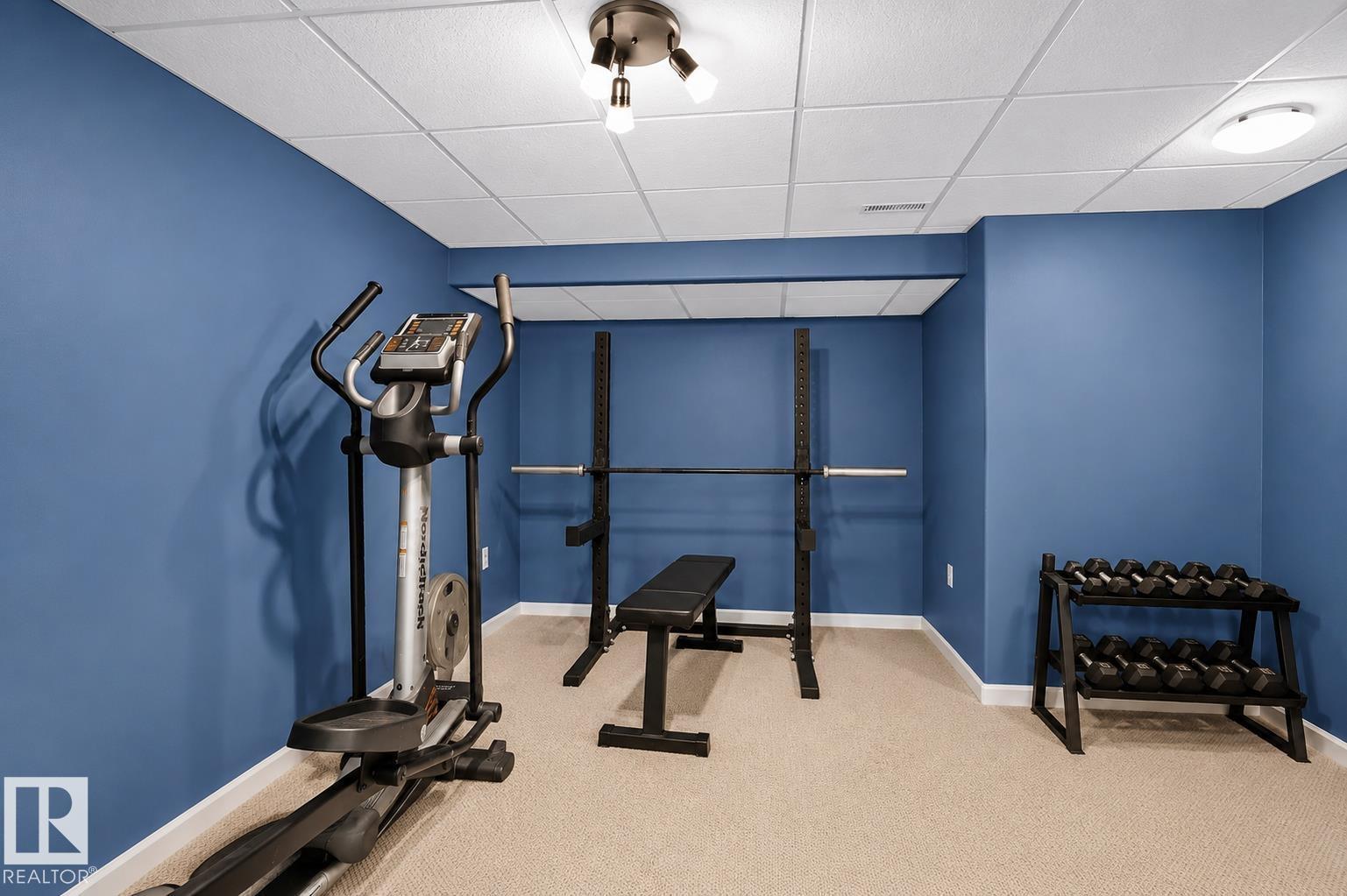 163 Galland Cr NW, Edmonton, Alberta  T5T 6P4 - Photo 34 - E4495649
