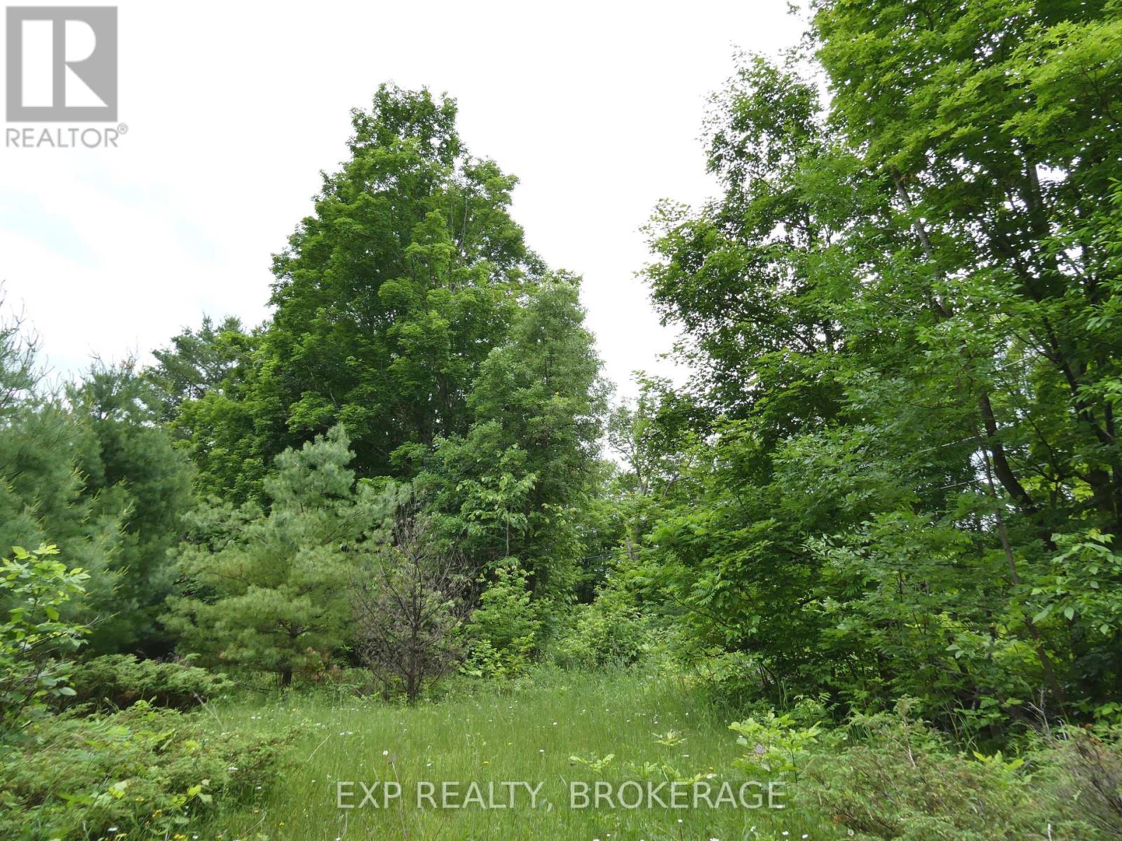 1881 Elm Tree Road, Frontenac, Ontario  K0H 1B0 - Photo 25 - X13488792