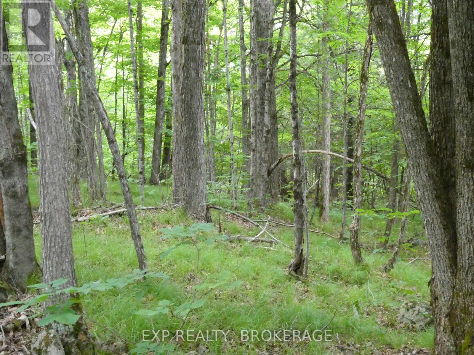 1881 Elm Tree Road, Frontenac, Ontario  K0H 1B0 - Photo 30 - X13488792