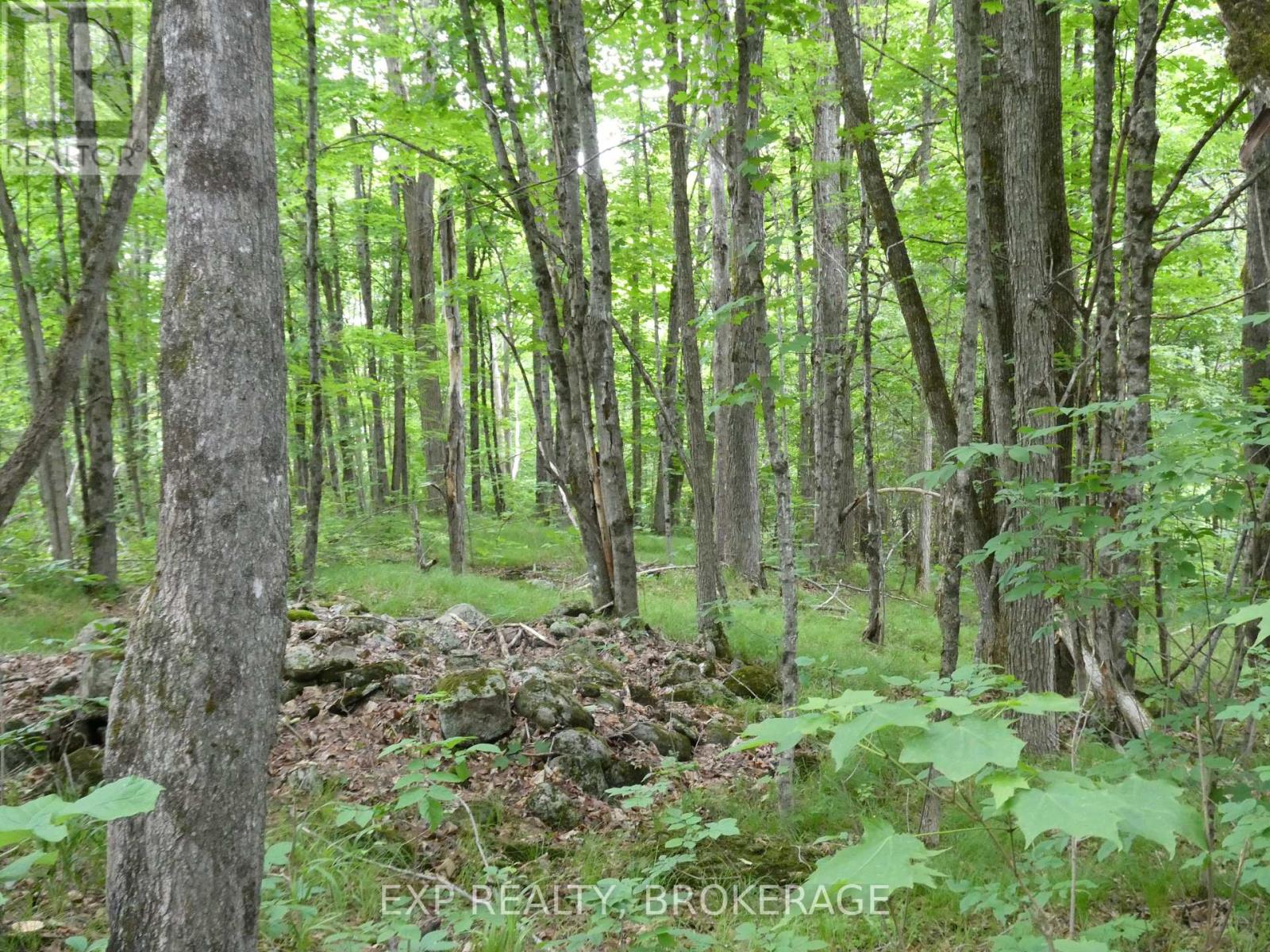 1881 Elm Tree Road, Frontenac, Ontario  K0H 1B0 - Photo 29 - X13488792
