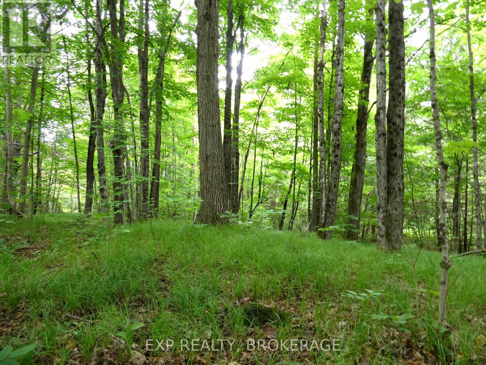 1881 Elm Tree Road, Frontenac, Ontario  K0H 1B0 - Photo 32 - X13488792