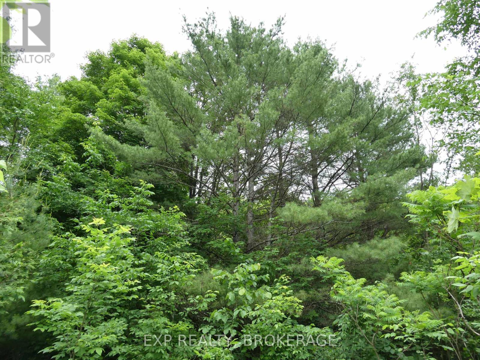 1881 Elm Tree Road, Frontenac, Ontario  K0H 1B0 - Photo 33 - X13488792