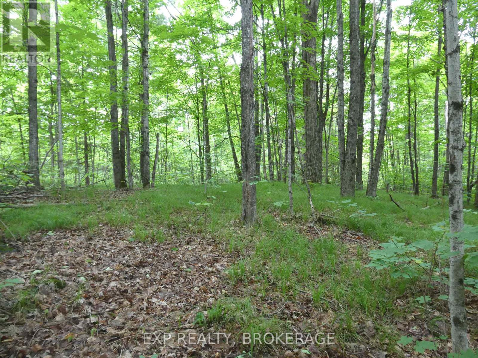 1881 Elm Tree Road, Frontenac, Ontario  K0H 1B0 - Photo 31 - X13488792