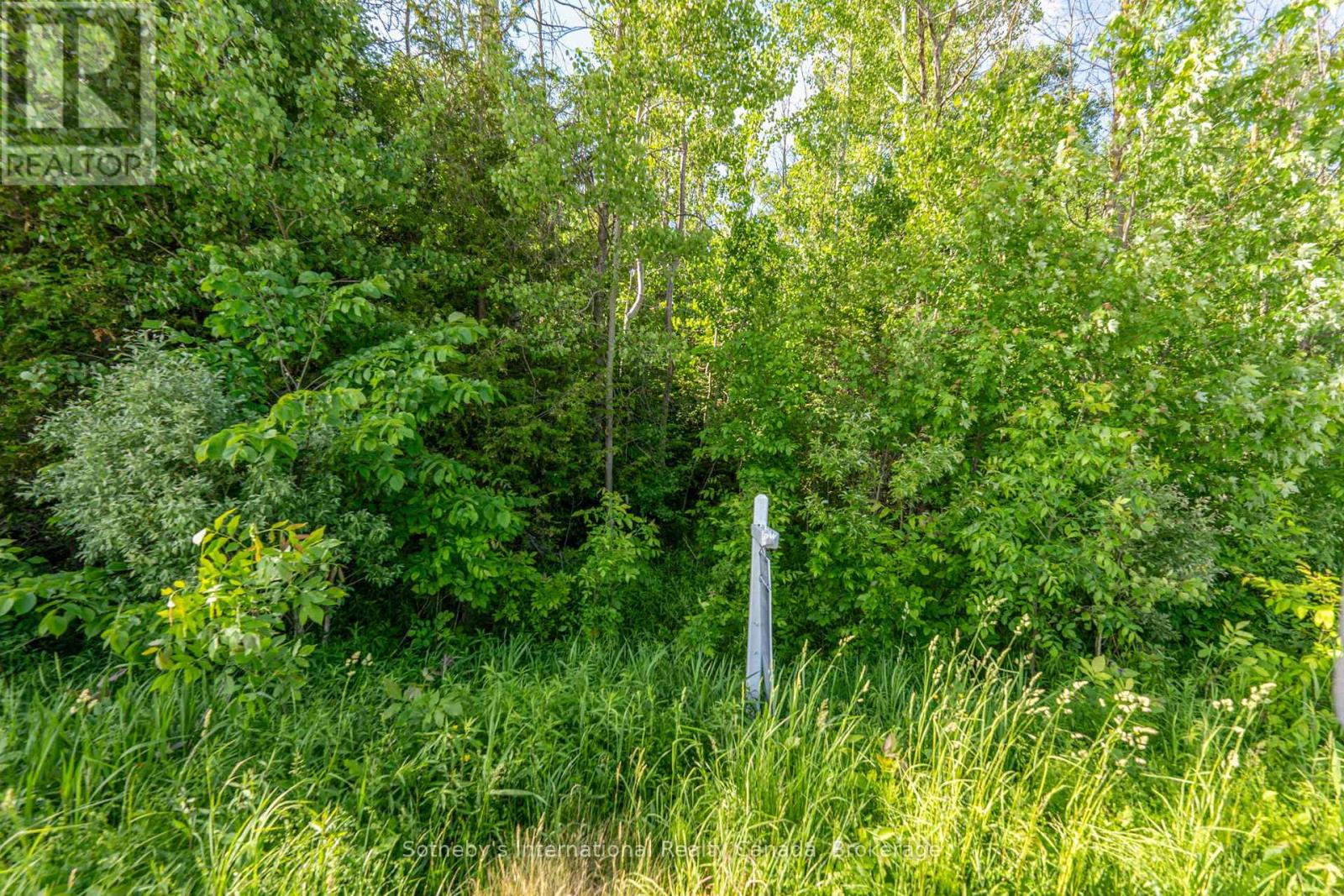 5509 Concession Road 7 Sunnidale, Clearview, Ontario  L0M 1N0 - Photo 16 - S12738078