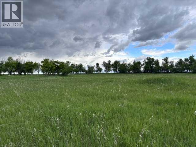 picture 0