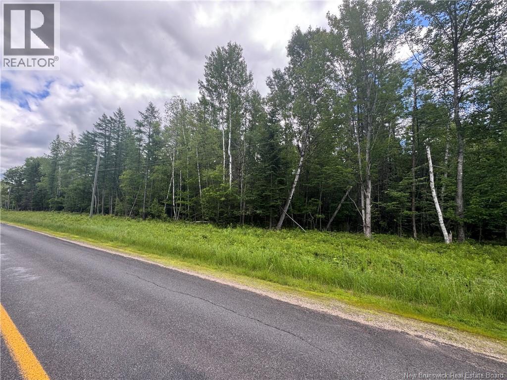 Route 690, Maquapit Lake, New Brunswick E4B 3Z5 - Photo 16 - NB141221