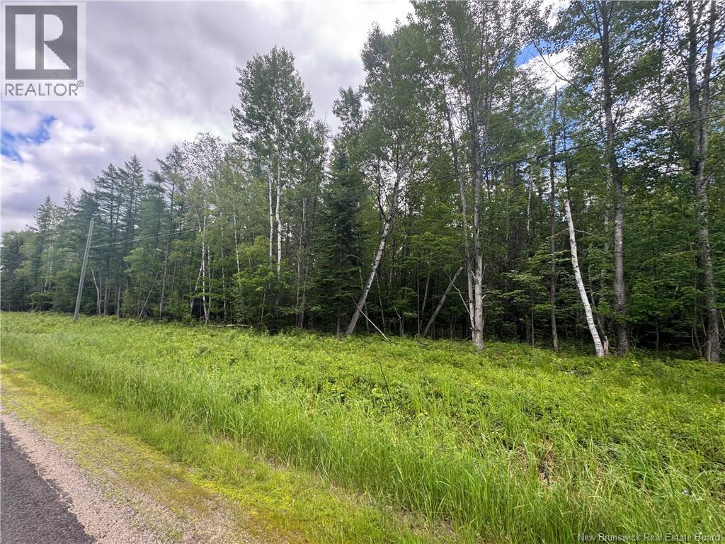 Route 690, Maquapit Lake, New Brunswick E4B 3Z5 - Photo 4 - NB141221