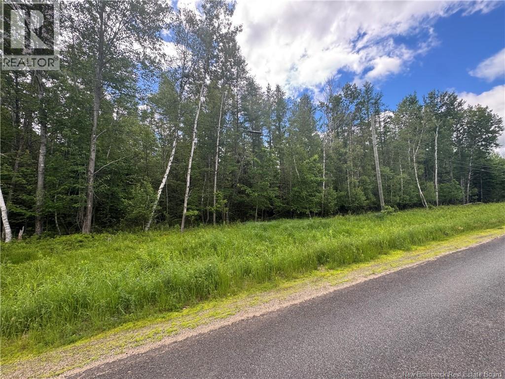 Route 690, Maquapit Lake, New Brunswick E4B 3Z5 - Photo 15 - NB141221