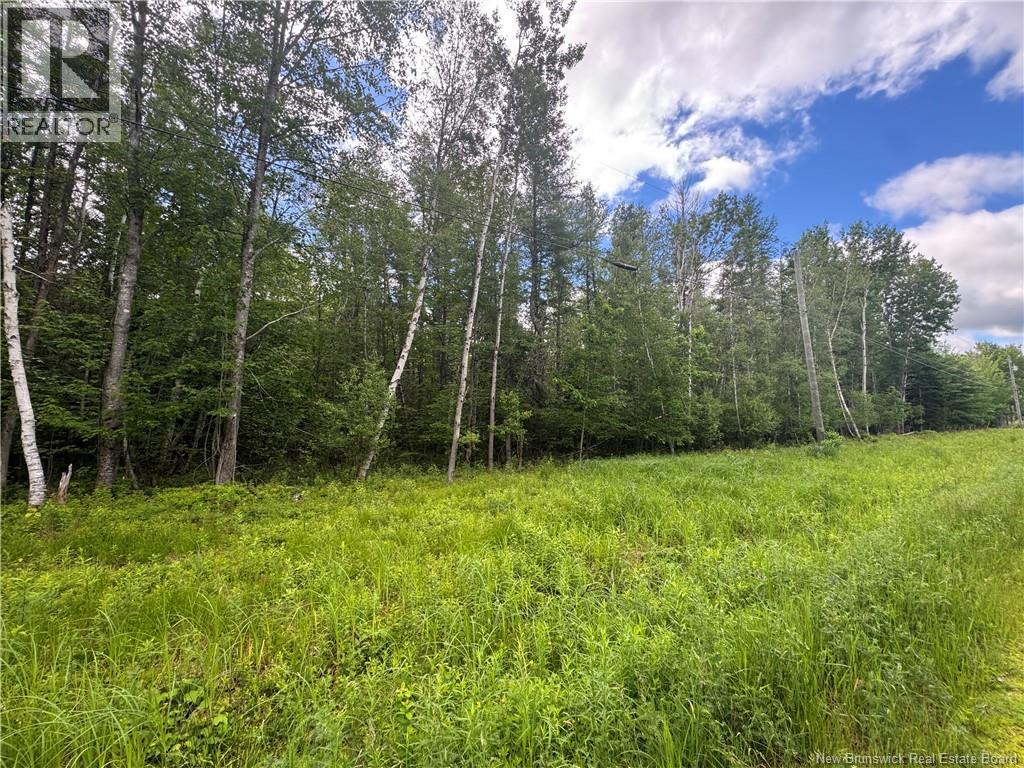Route 690, Maquapit Lake, New Brunswick E4B 3Z5 - Photo 14 - NB141221