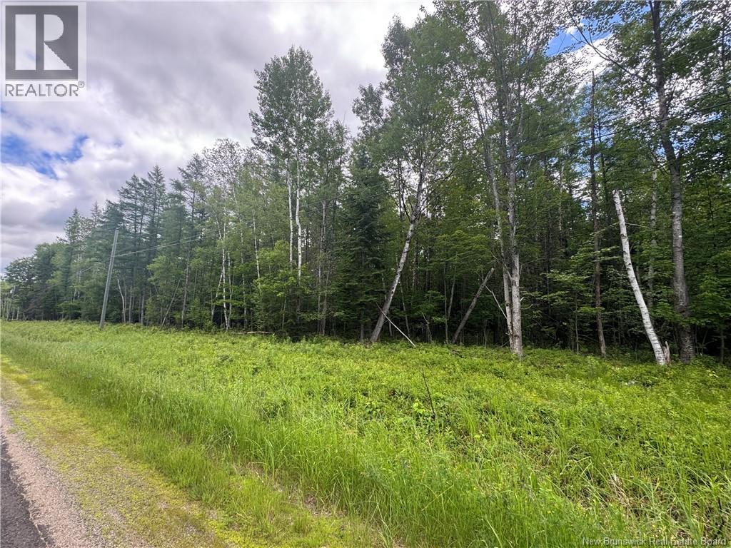 Route 690, Maquapit Lake, New Brunswick E4B 3Z5 - Photo 13 - NB141221