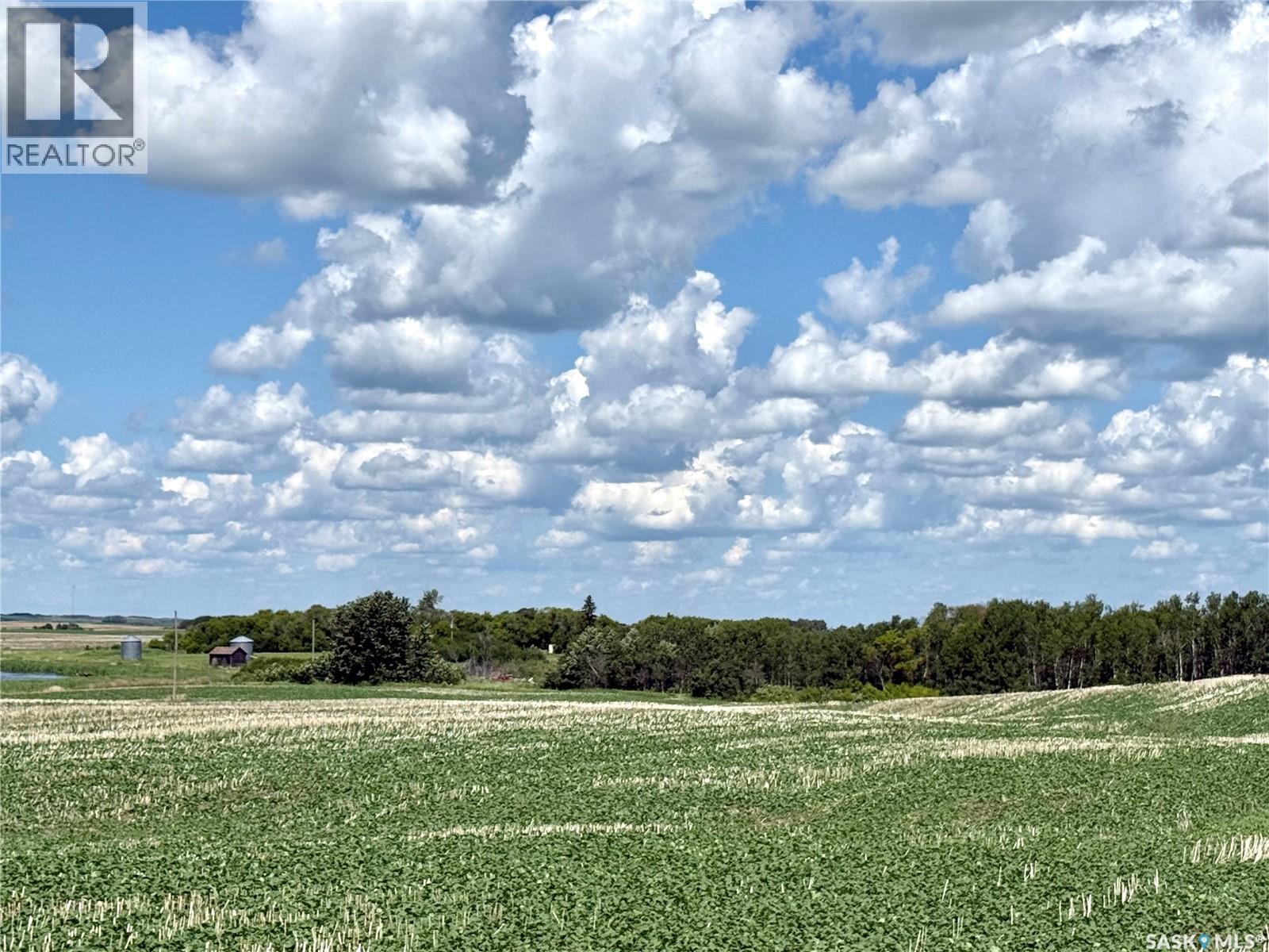 Oborowsky Acres, Battle River Rm No. 438, Saskatchewan  S0M 0E0 - Photo 1 - SK040543