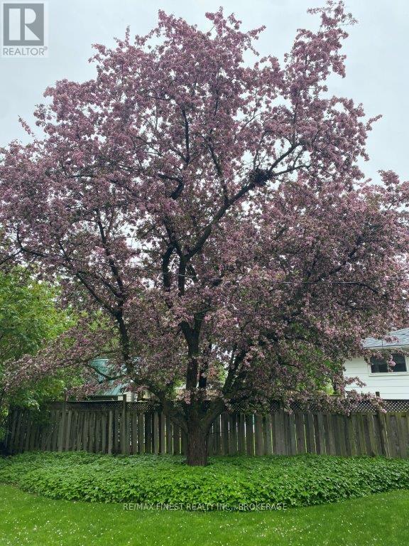744 Sussex Boulevard, Kingston, Ontario  K7M 5B1 - Photo 36 - X13490570