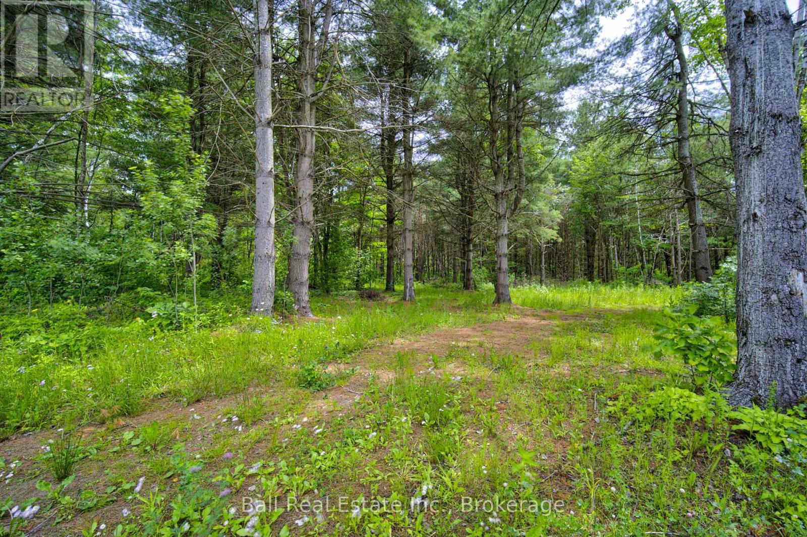 8321 County Road 50, Trent Hills, Ontario  K0K 2M0 - Photo 43 - X13490644