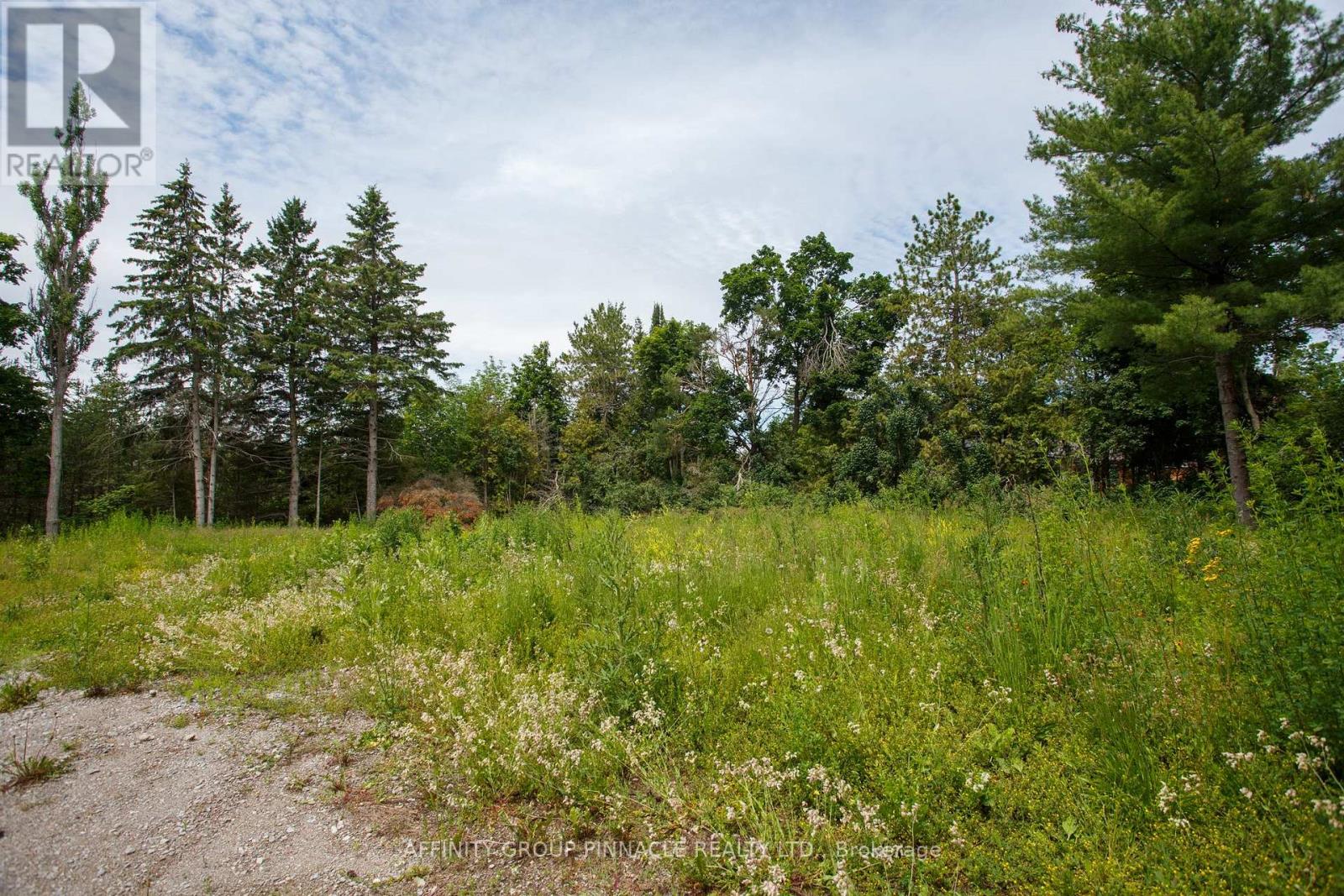 00 Reid Street, Kawartha Lakes, Ontario K0M 1A0 - Photo 2 - X13490742