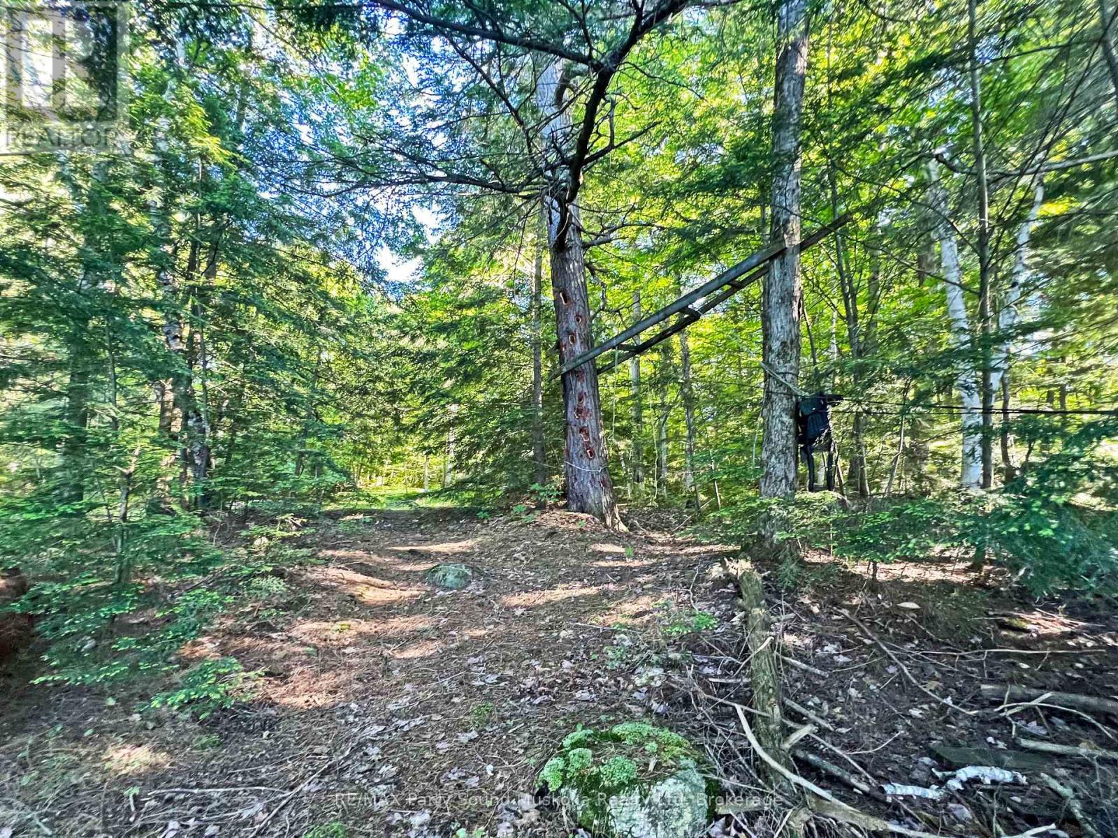 15 Schmidt Circle, Seguin, Ontario  P2A 0B2 - Photo 35 - X13490818