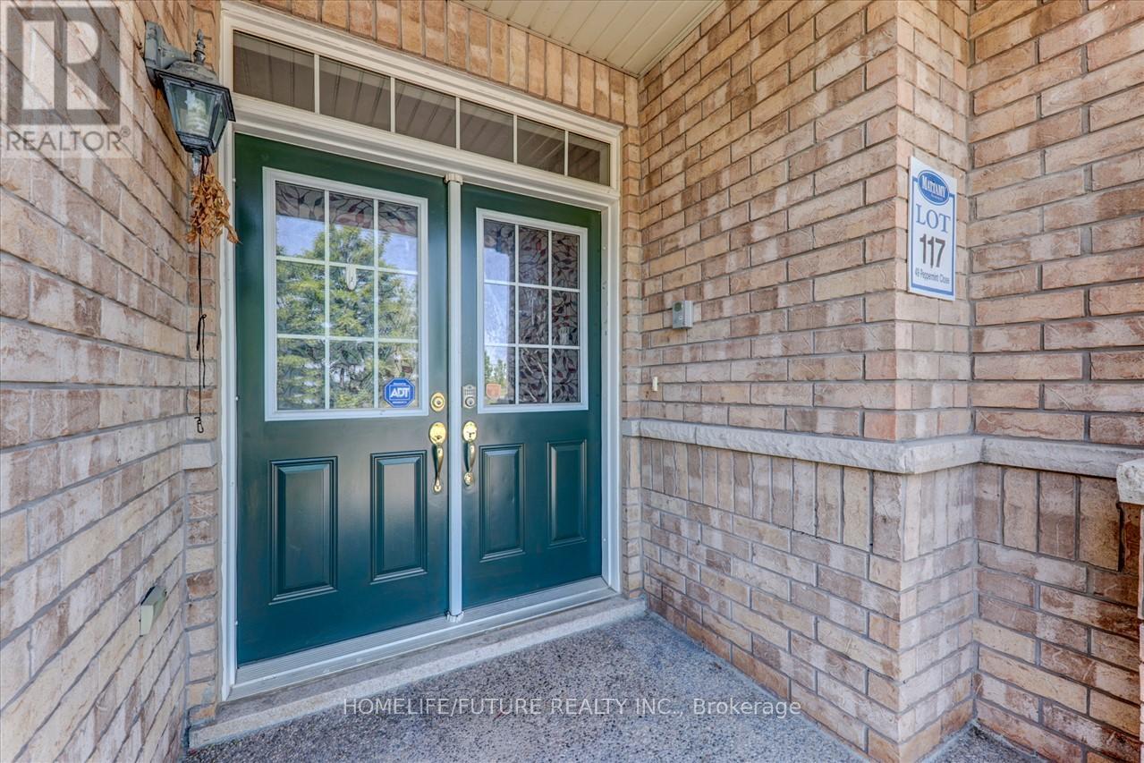Bsmt - 49 Peppermint Close, Brampton, Ontario  L6P 3C7 - Photo 4 - W13490666