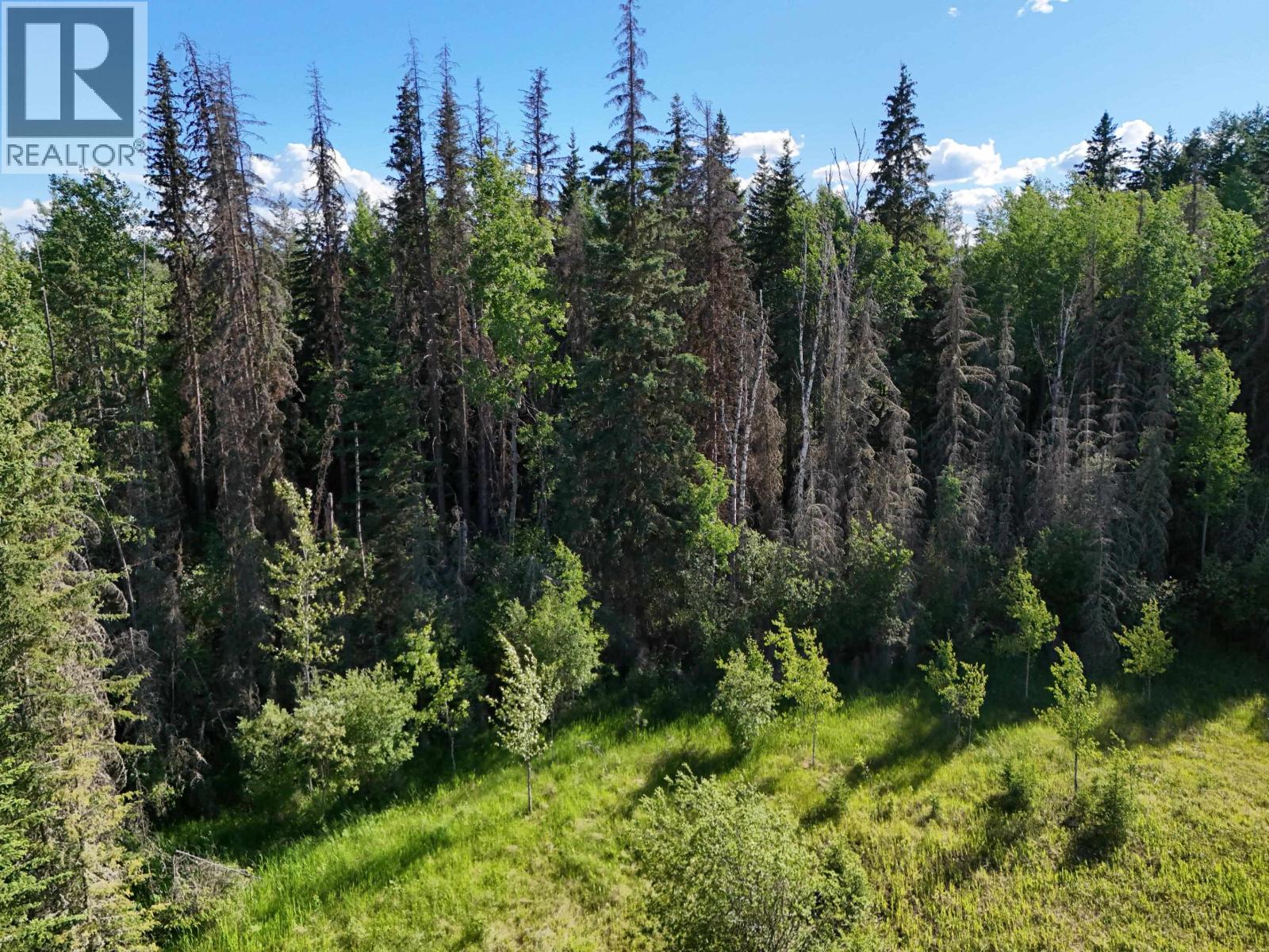 Lot 1 Edwards Road, Quesnel, British Columbia  V2J 6L1 - Photo 8 - R3104223