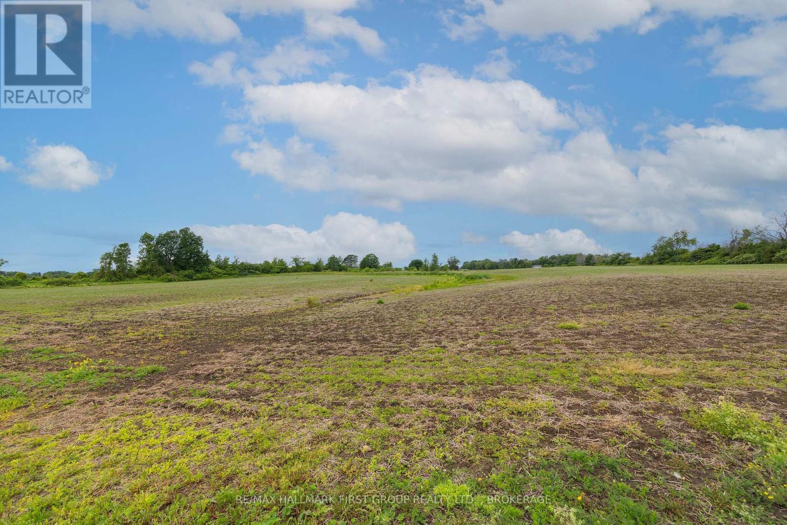 9656 Loyalist Parkway, Greater Napanee, Ontario  K0H 1G0 - Photo 49 - X13490978